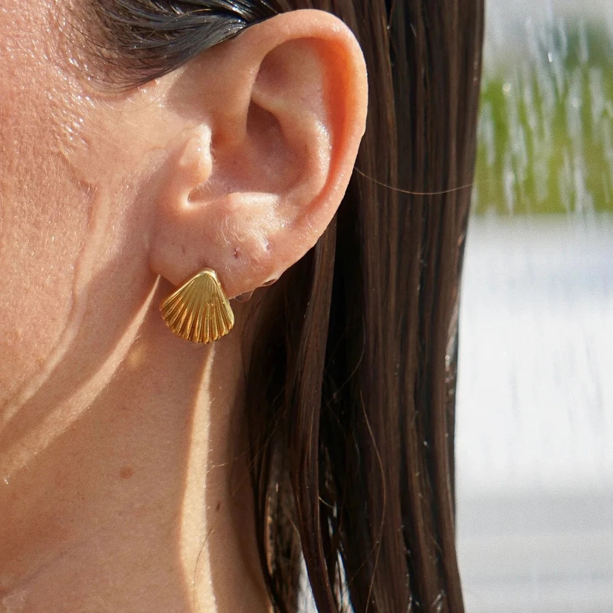 Shell Stud Earrings