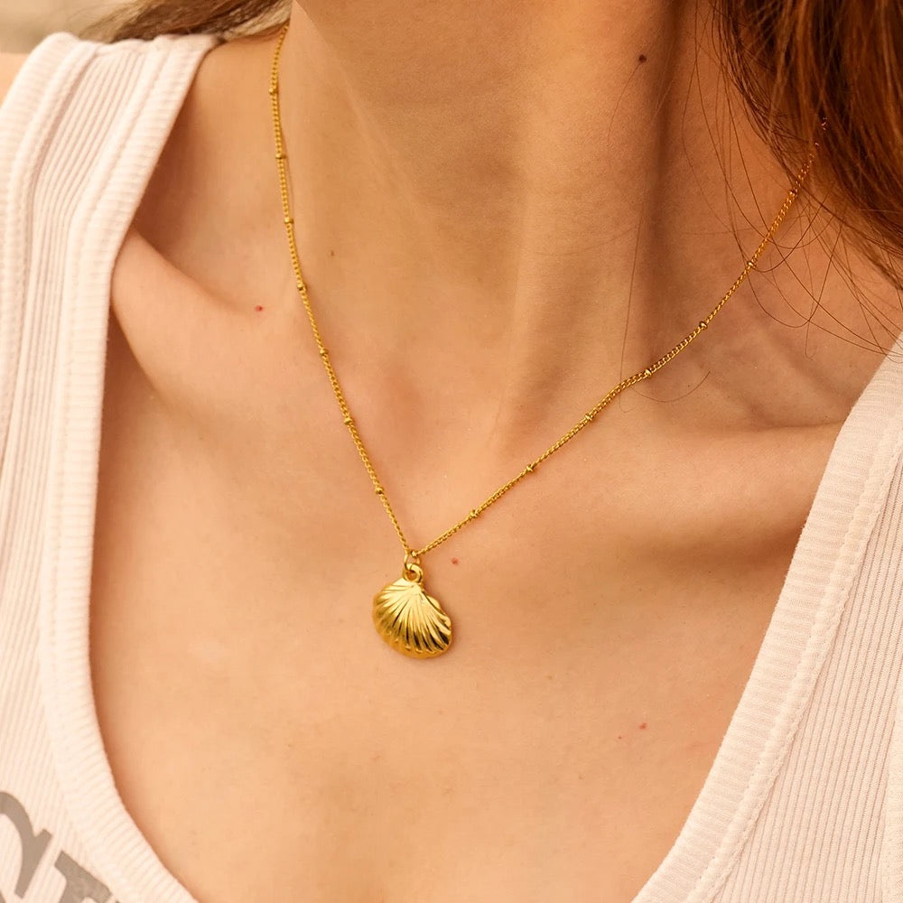 Shell Pendant Necklace