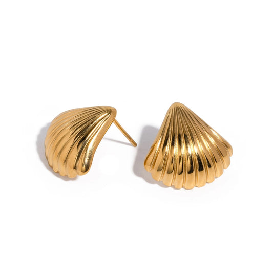 Shell Stud Earrings