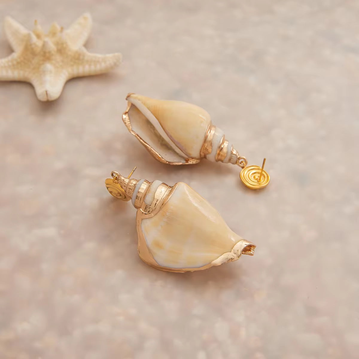 Natural Conch Earrings